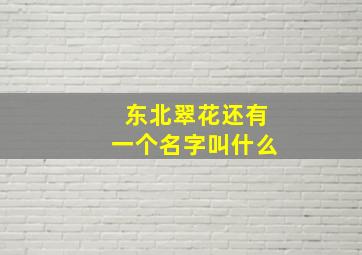 东北翠花还有一个名字叫什么