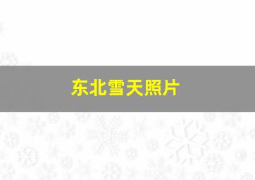 东北雪天照片