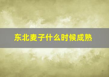 东北麦子什么时候成熟