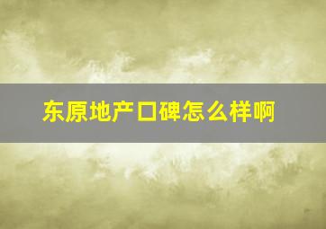 东原地产口碑怎么样啊