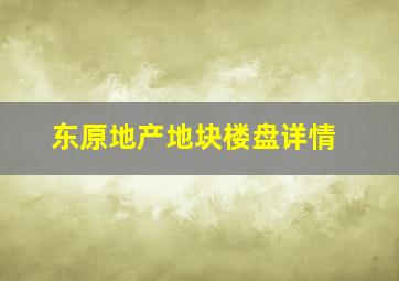 东原地产地块楼盘详情