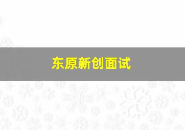 东原新创面试