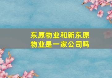 东原物业和新东原物业是一家公司吗