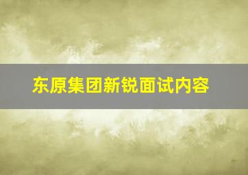 东原集团新锐面试内容