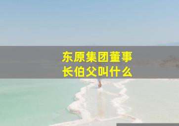 东原集团董事长伯父叫什么