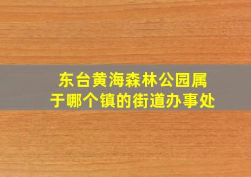 东台黄海森林公园属于哪个镇的街道办事处