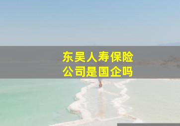 东吴人寿保险公司是国企吗