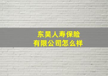 东吴人寿保险有限公司怎么样