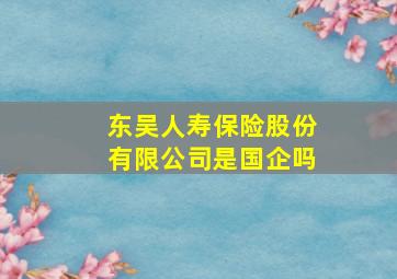 东吴人寿保险股份有限公司是国企吗