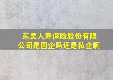 东吴人寿保险股份有限公司是国企吗还是私企啊