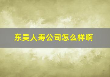 东吴人寿公司怎么样啊