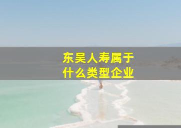 东吴人寿属于什么类型企业