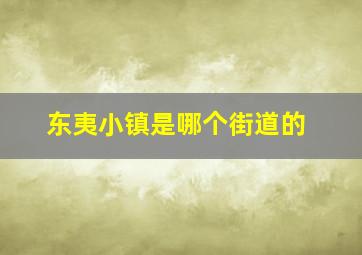 东夷小镇是哪个街道的