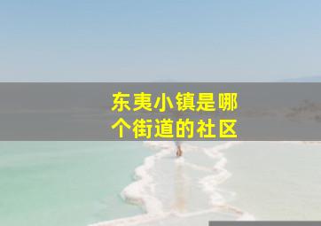 东夷小镇是哪个街道的社区