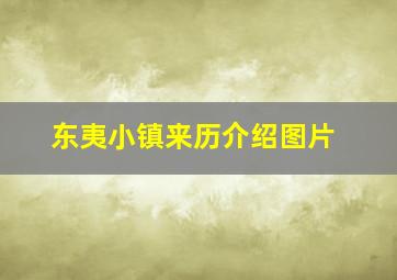 东夷小镇来历介绍图片