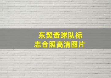 东契奇球队标志合照高清图片