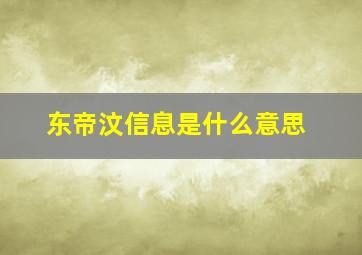 东帝汶信息是什么意思