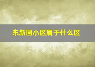 东新园小区属于什么区