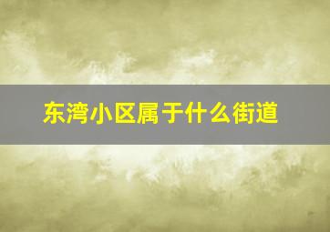 东湾小区属于什么街道