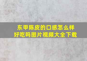 东甲陈皮的口感怎么样好吃吗图片视频大全下载