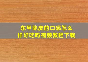 东甲陈皮的口感怎么样好吃吗视频教程下载