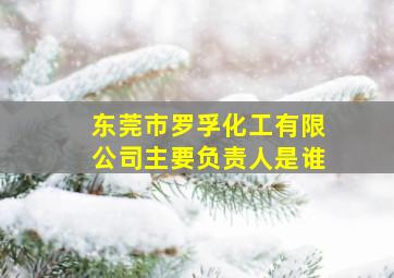 东莞市罗孚化工有限公司主要负责人是谁