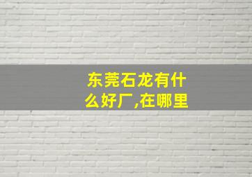 东莞石龙有什么好厂,在哪里