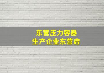 东营压力容器生产企业东营启