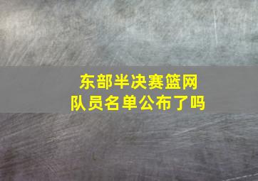 东部半决赛篮网队员名单公布了吗