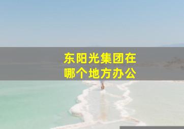 东阳光集团在哪个地方办公