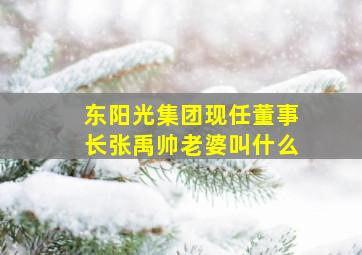 东阳光集团现任董事长张禹帅老婆叫什么