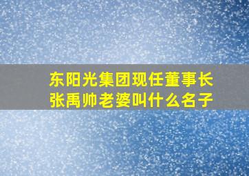 东阳光集团现任董事长张禹帅老婆叫什么名子