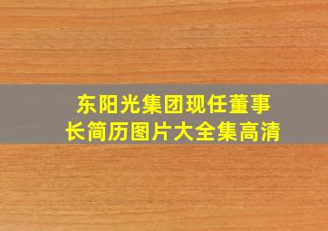 东阳光集团现任董事长简历图片大全集高清