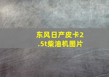 东风日产皮卡2.5t柴油机图片