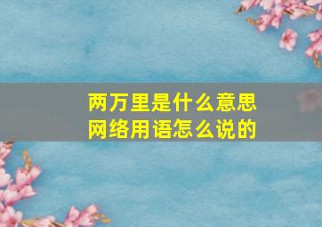 两万里是什么意思网络用语怎么说的