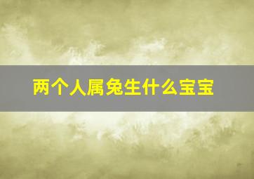 两个人属兔生什么宝宝