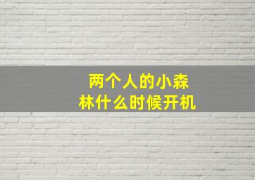 两个人的小森林什么时候开机