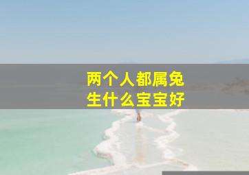 两个人都属兔生什么宝宝好