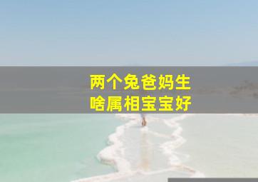 两个兔爸妈生啥属相宝宝好