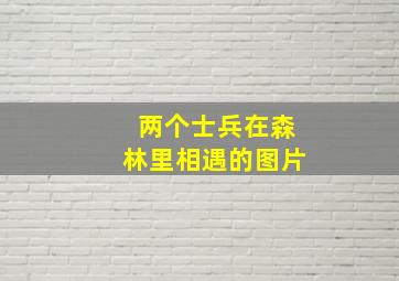 两个士兵在森林里相遇的图片