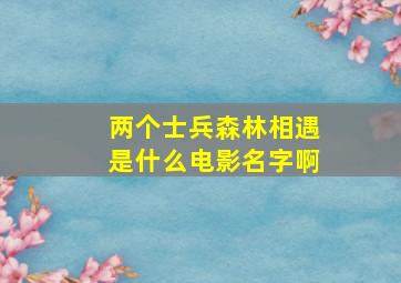 两个士兵森林相遇是什么电影名字啊