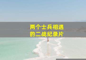 两个士兵相遇的二战纪录片