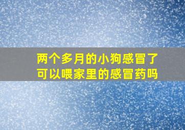 两个多月的小狗感冒了可以喂家里的感冒药吗