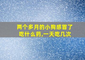 两个多月的小狗感冒了吃什么药,一天吃几次