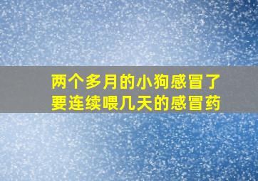 两个多月的小狗感冒了要连续喂几天的感冒药