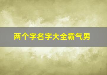 两个字名字大全霸气男