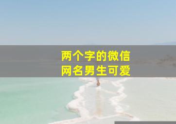 两个字的微信网名男生可爱