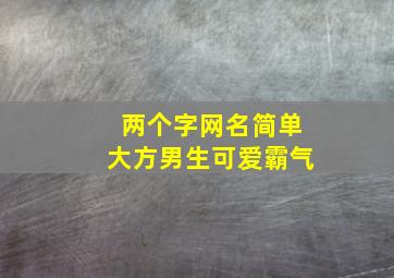 两个字网名简单大方男生可爱霸气