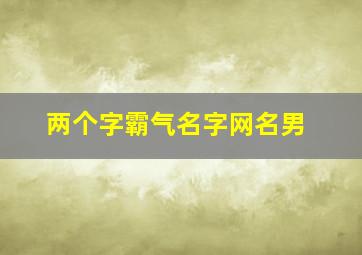 两个字霸气名字网名男