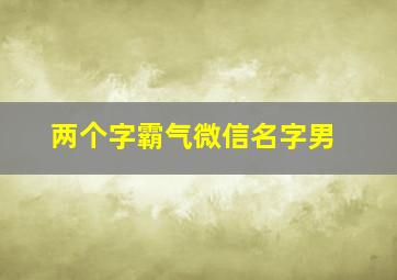 两个字霸气微信名字男